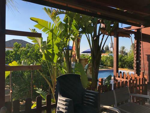Chalet Con Piscina El Oasis Del Palomar
