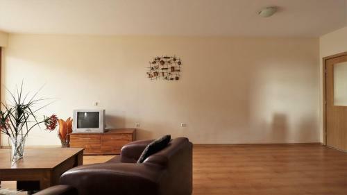 Apartamento Pirin Place Bansko