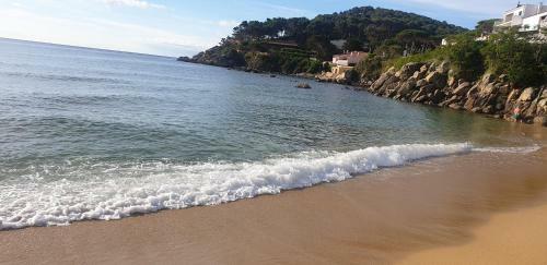 Apartamento Con Jard�n A 11 Metros de La Playa. Cg.