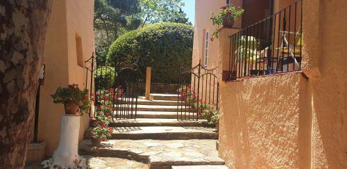 Apartamento Con Jard�n A 11 Metros de La Playa. Cg.