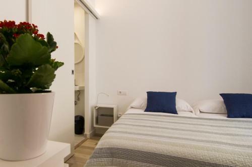 Can Pauet Apartaments