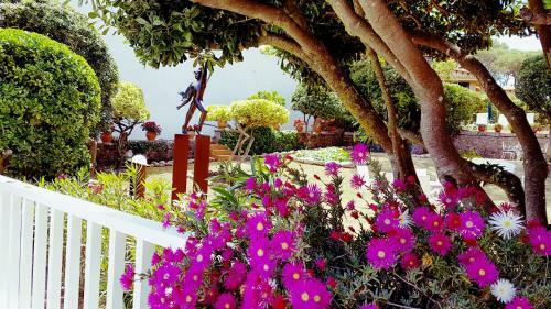 Apartamento Con Jard�n A 11 Metros de La Playa. B3.