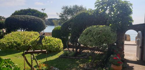 Apartamento Con Jard�n A 11 Metros de La Playa. B3.