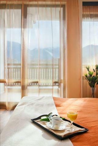 Top Apartment In Bansko