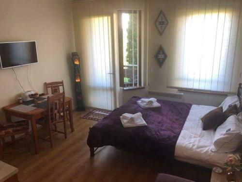 Apartamento Authentic Cedar Lodge Studio Near Ski Lift