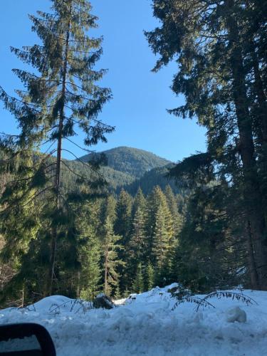 Beautiful Cosy Studio Apartment In Bansko