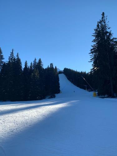 Beautiful Cosy Studio Apartment In Bansko