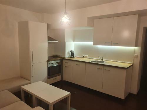 The White Apartment At The Ski
