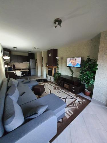 Green Life Resort Bansko, Apartman C23