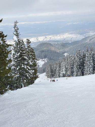 Spacious And Cosy Apartment In Bansko Royal Towers Complex