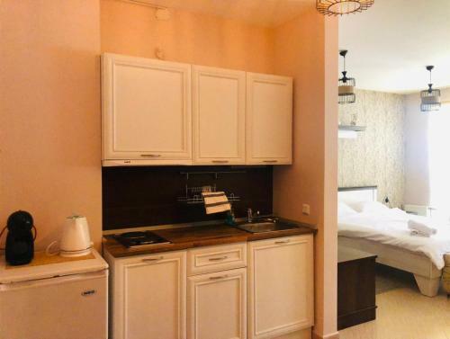 Apartamento Mouse&mutton Studios In Green Life Ski&spa Bansko