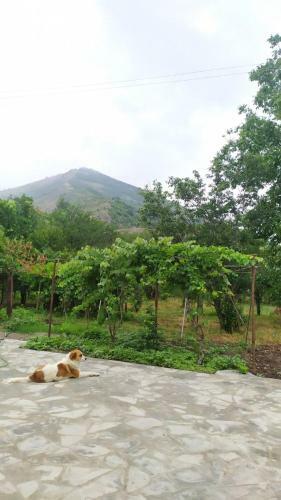 Hostal Nazlukhanyan's Guesthouse