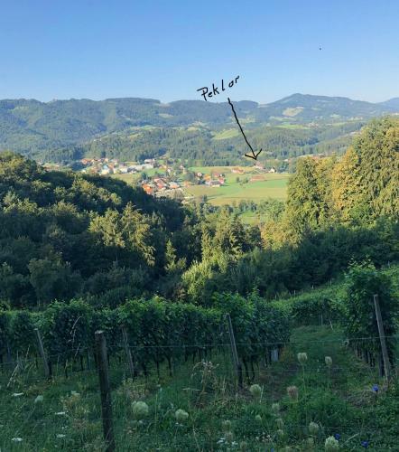 Apartamento Ferienwohnung Peklar