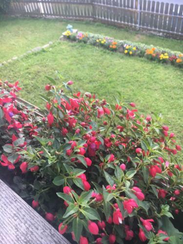 Apartamento Ferienwohnung Renate