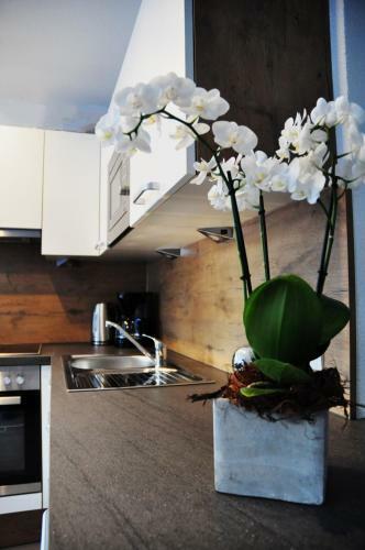 Apartamento Appartement Alpenzauber
