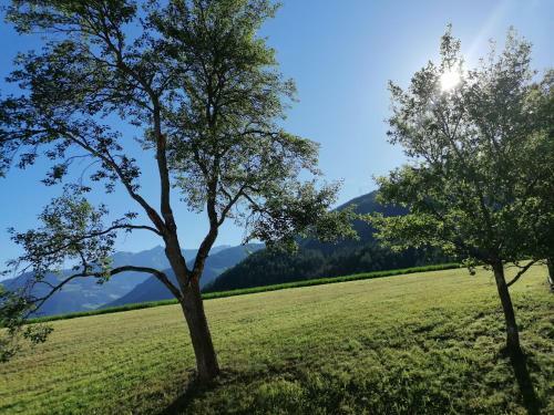 Apartamento Haus Zur M�hle