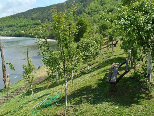 Bed & Breakfast Preno?i?te Na Drini Fo?a