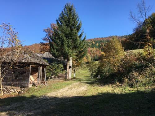Koliba Za Odmor U Prirodi