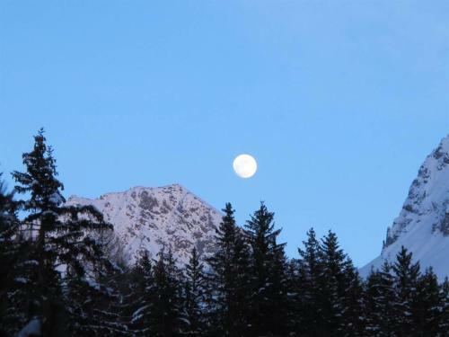 Apartamento Chalet Waldesruh 3 Zimmerwohnung