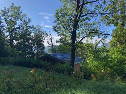 Apartamento Rifugio Nel Bosco