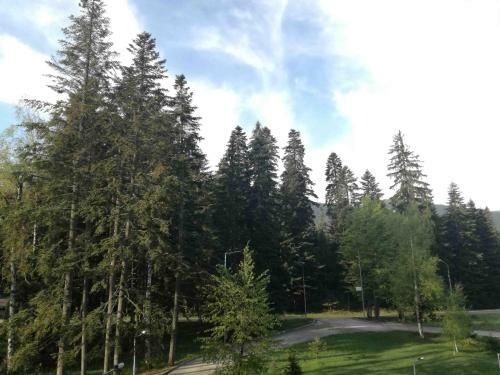 Apartment Relax Borovets