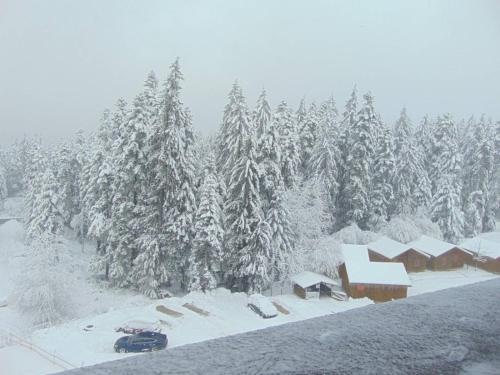 Ski Apartment Mimi Iglika 2