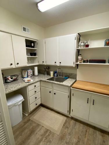 Spring Hill Lake House Apartment