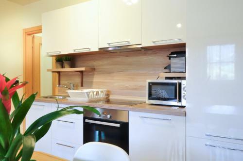 Apartamento Ski In/ski Out 2-bedroom Free Parking