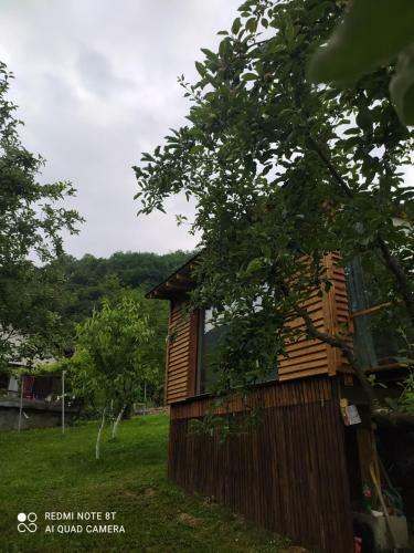 Apartamento Lenilenii Bungalows