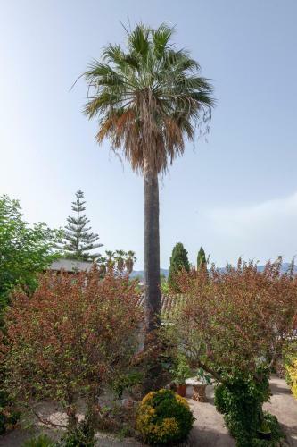 Villa Moli Del Rei