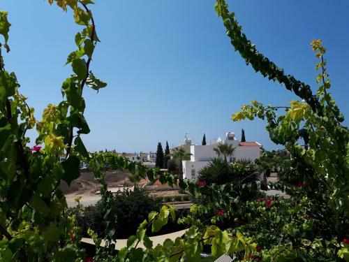 Villa Bouboulina Cyprus