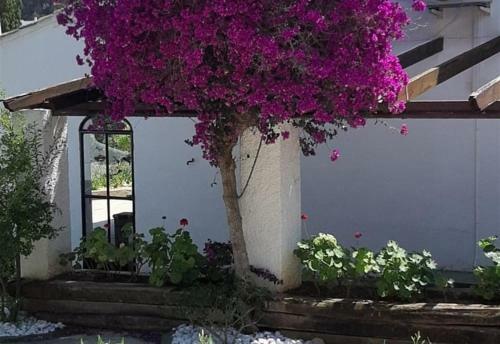 Villa Finca La Ferma