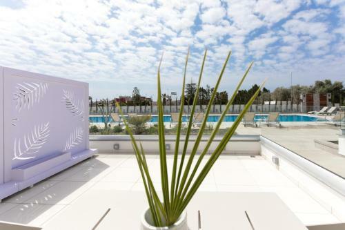Apartamento Napa Gem Suites