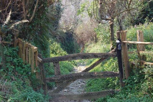La Casina De Cirie�u