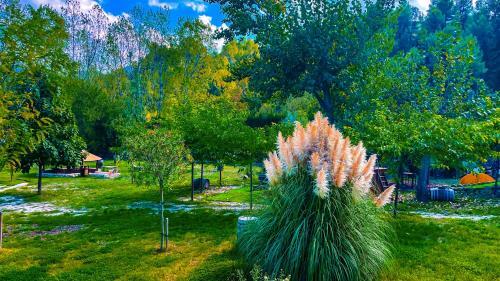 Casa Rural, Mol� De Les Pereres