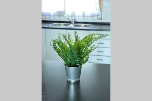 Ca La Paquita