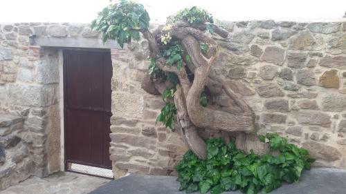 Agroturismo El Pilar De Don Gregorio