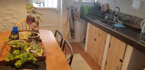 Casa Shyshka Country Cottage