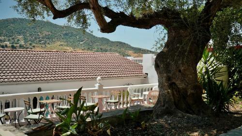 Hostal One Life M�laga Retreat
