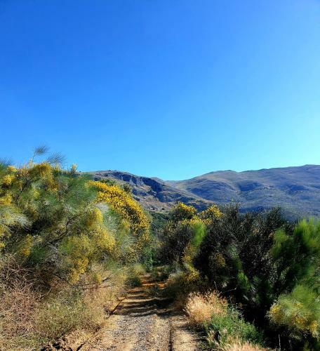 Hostal One Life M�laga Retreat