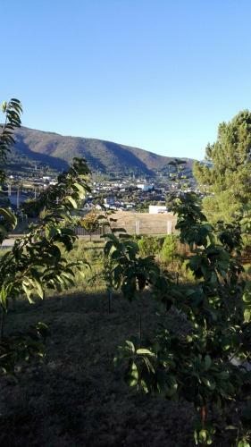 Casa Penelas, Petin