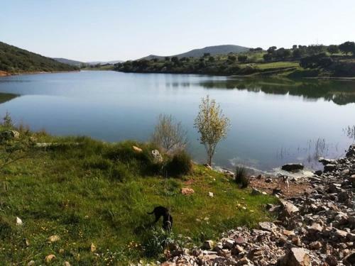 Casa Rural En El Cerro Del B�ho