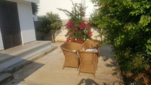 Ayia Napa Holiday House