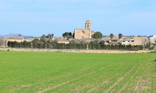 Son Perxa Finca Petra 216