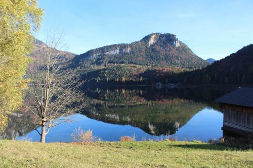 Apartamento Ferienwohnung "kaiserblick"