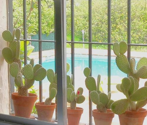Agroturismo Casa Rural La Estrella