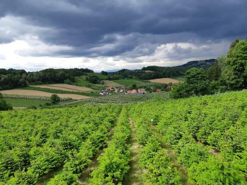 Agroturismo Bauernhof Grain