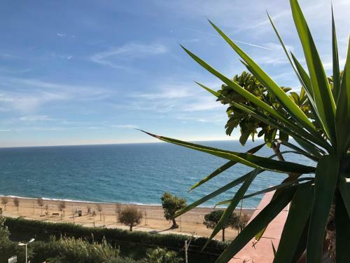 Apartamento Vicam Atico Duplex