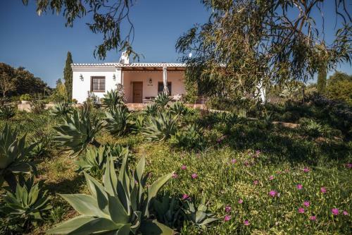 Rosas Cantares: Casa Siri