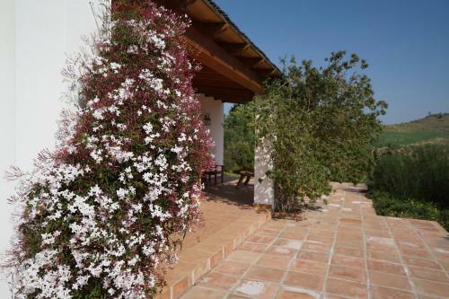 Rosas Cantares: Casa Siri